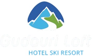 გუდაური ლოფტი